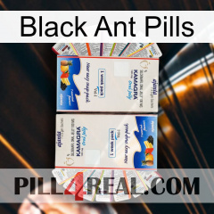 Black Ant Pills kamagra1